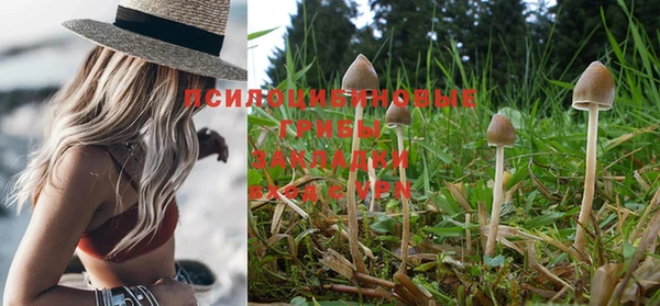 кокаин премиум Зеленокумск