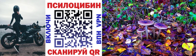 Купить где  Куровское  Галлюциногенные грибы Magic Shrooms 